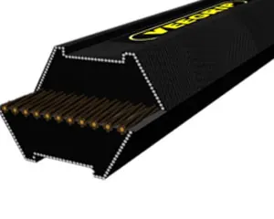 Hexagon Belts